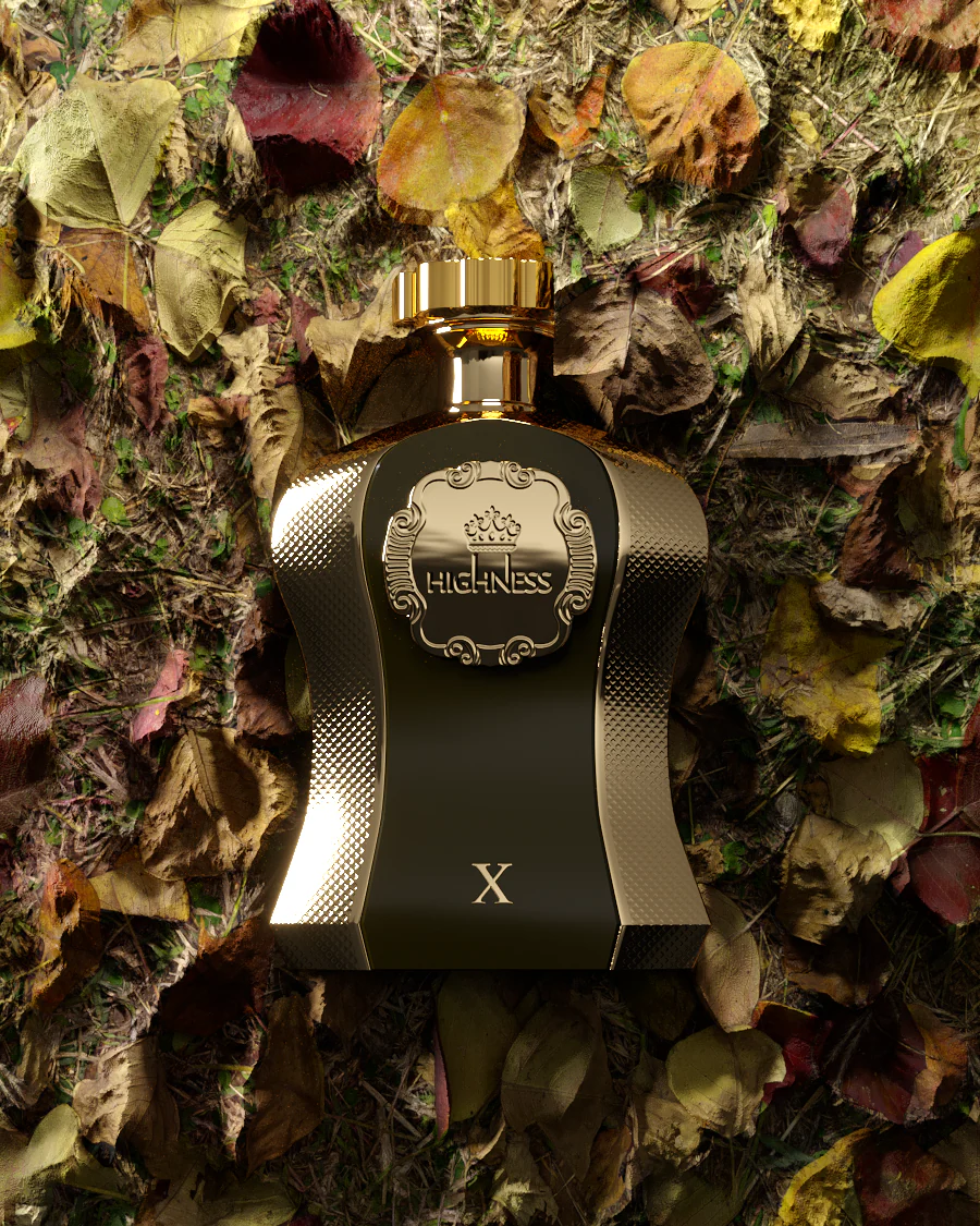 HIGHNESS X - Image 3